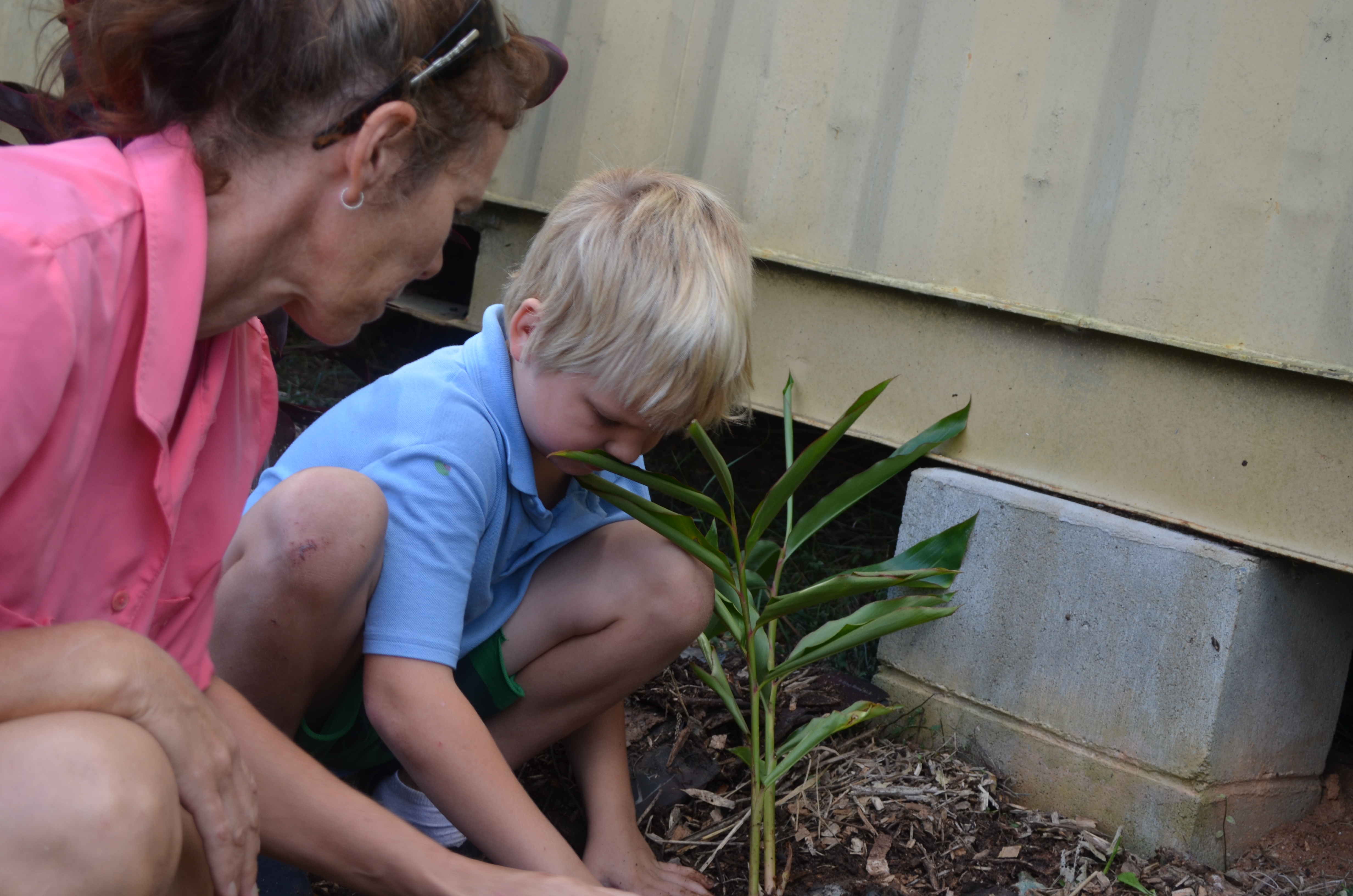 Parent and student planting a tree together, each year the kindy students plant a tree in the school grounds.
